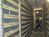 Forno têmpera – reconstrução de alvenaria em tijolo e teto em fibra cerâmica